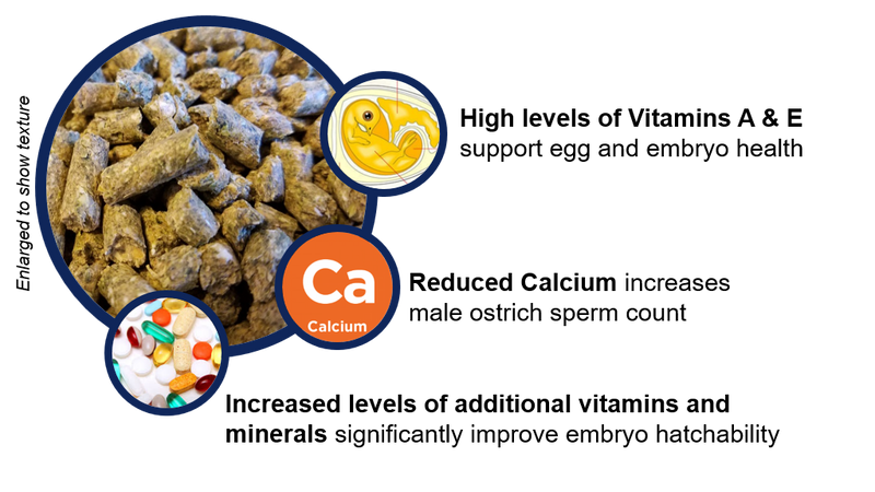 nutritional benefits of Breeder ostrich feed