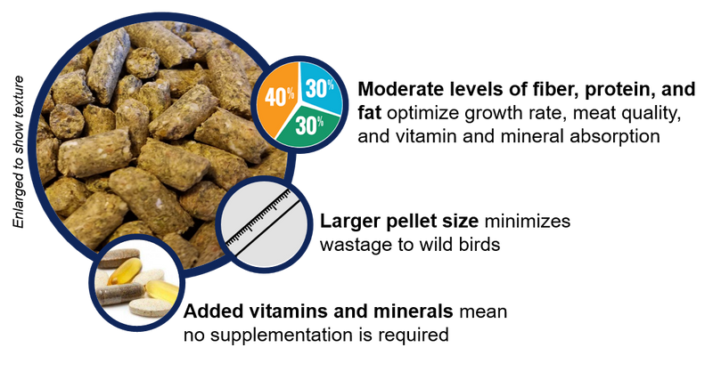 Nutritional benefits of Grower ostrich feed