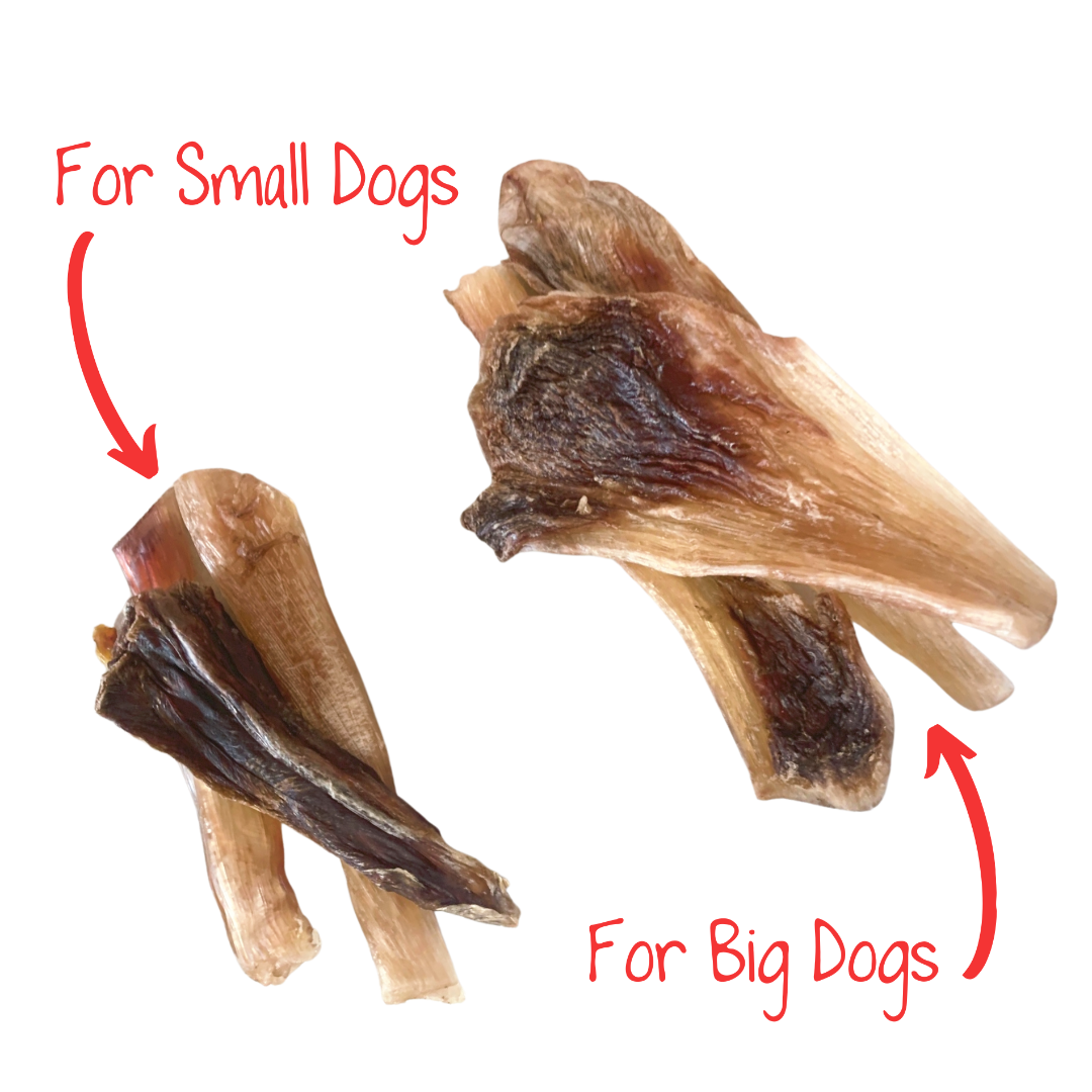 Side by side comparison of ostrich tendon chews for small and large dog breeds