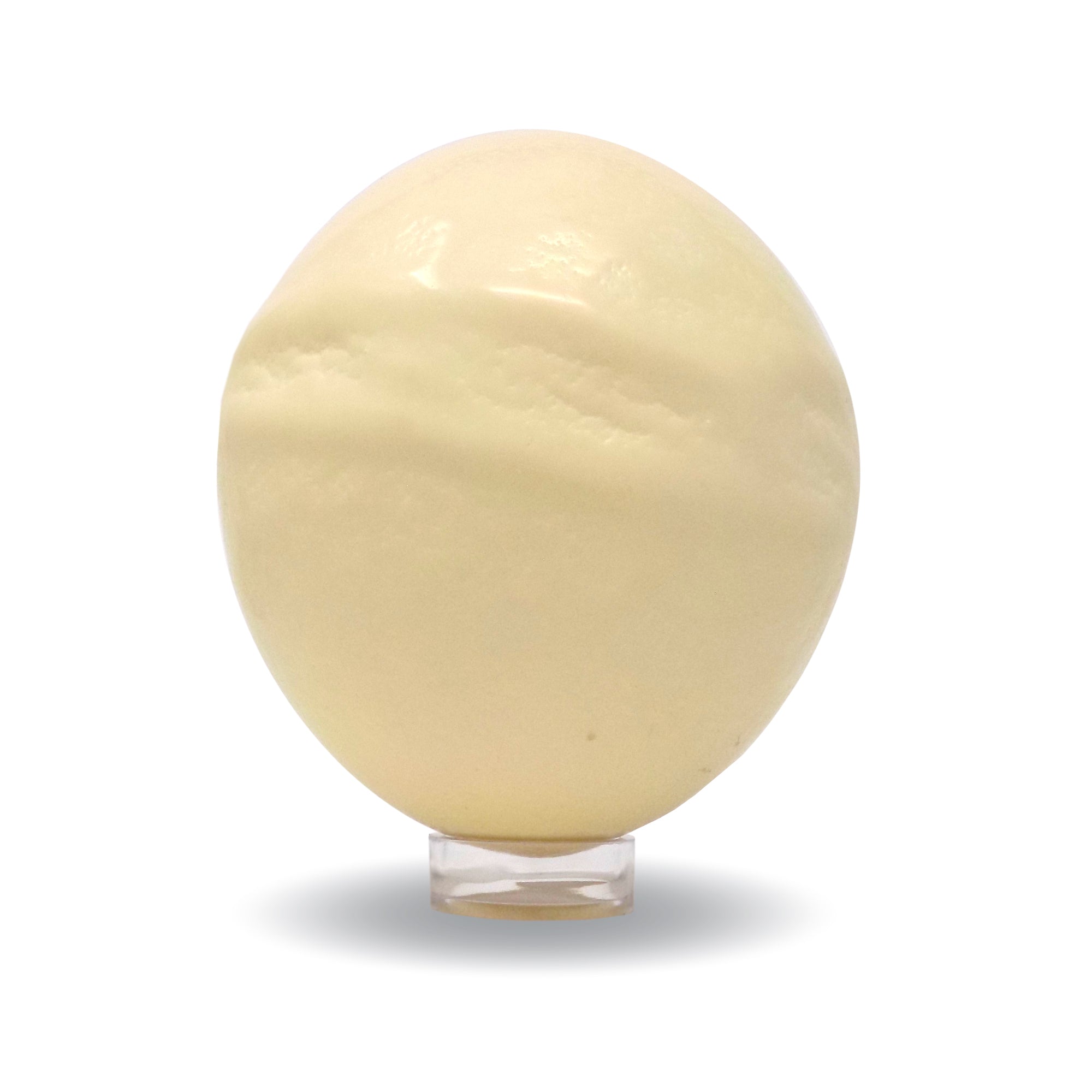 Buy Ostrich Eggshells (Scarred) | American Ostrich Farms