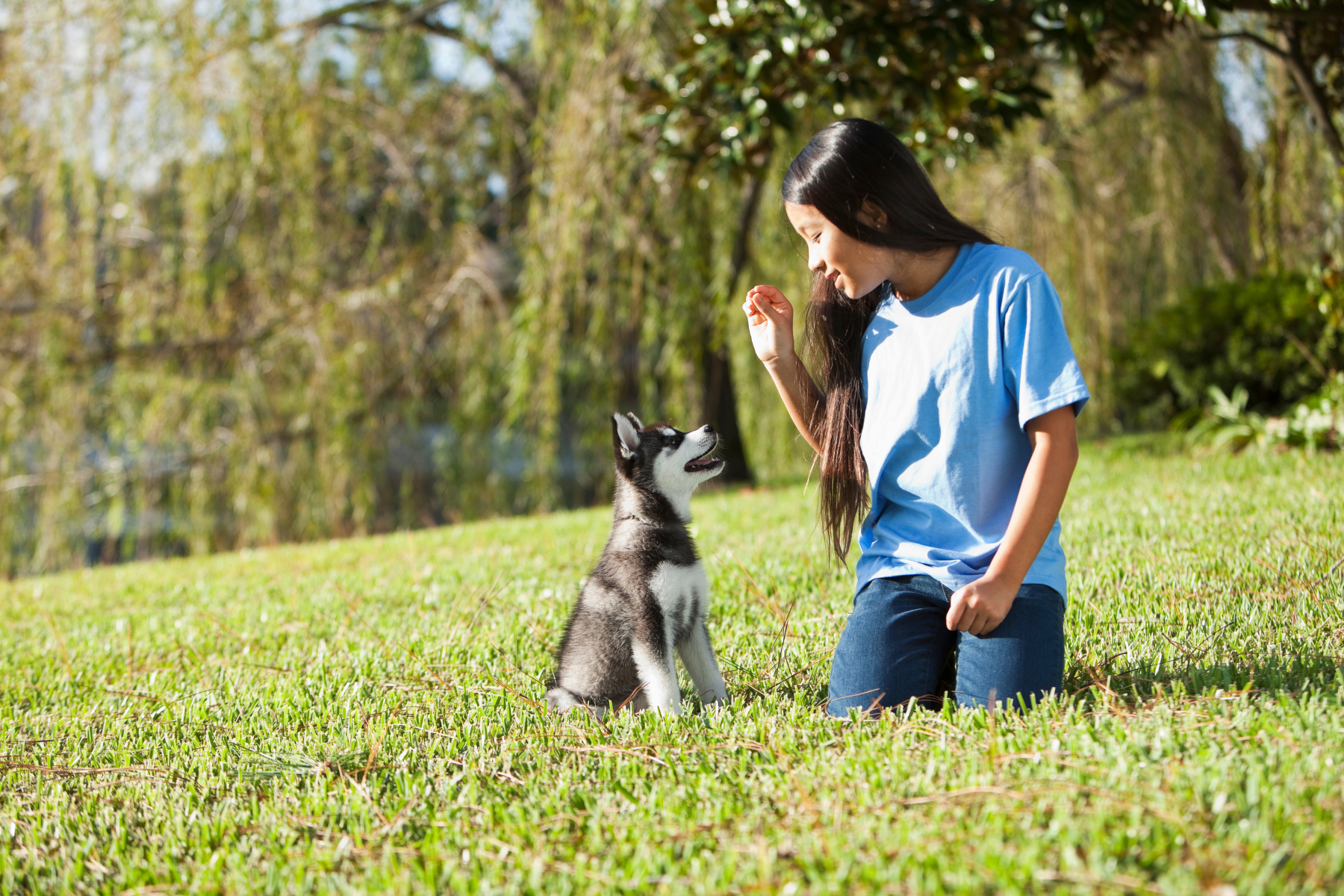 girl training a puppy