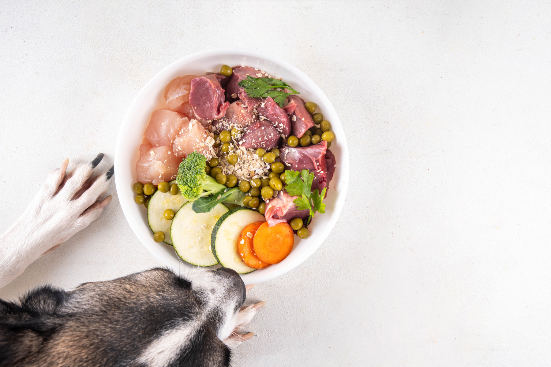 WHY LEAN PROTEIN MATTERS FOR DOGS, TOO