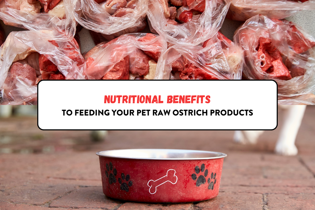 american ostrich farms-nutritional benefits to feeding your pet raw ostrich products