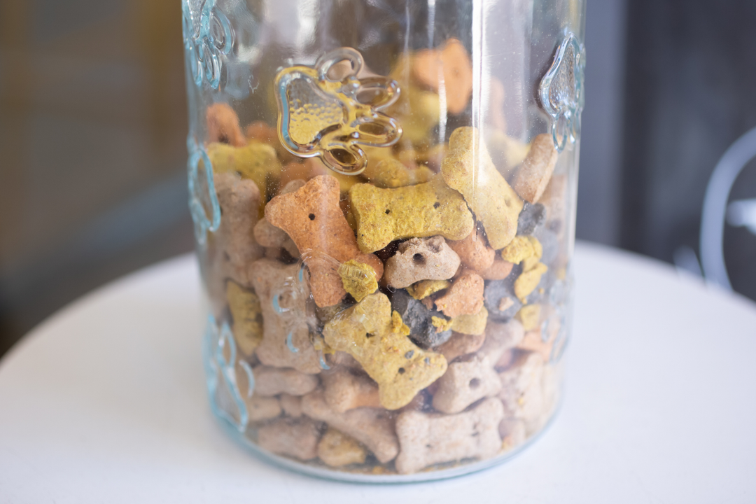 dog treats in a jar