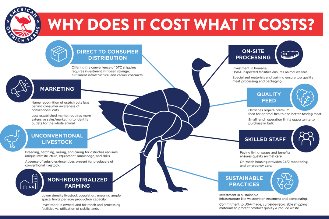 WHY DOES OSTRICH COST WHAT IT COSTS?