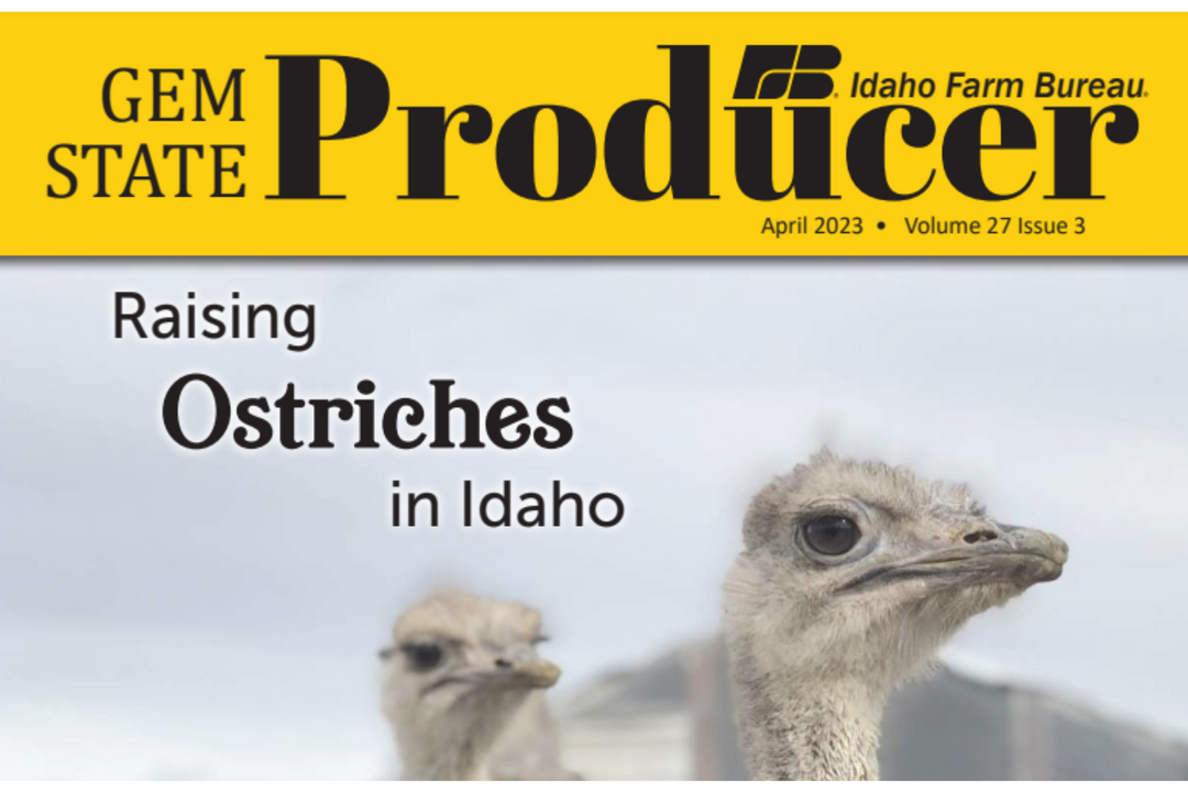 IDAHO FARM BUREAU INTERVIEWS AOF