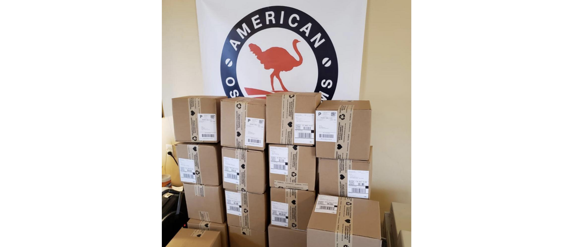 March 2020 Newsletter