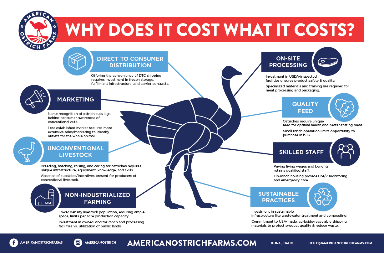 WHY DOES OSTRICH COST WHAT IT COSTS?