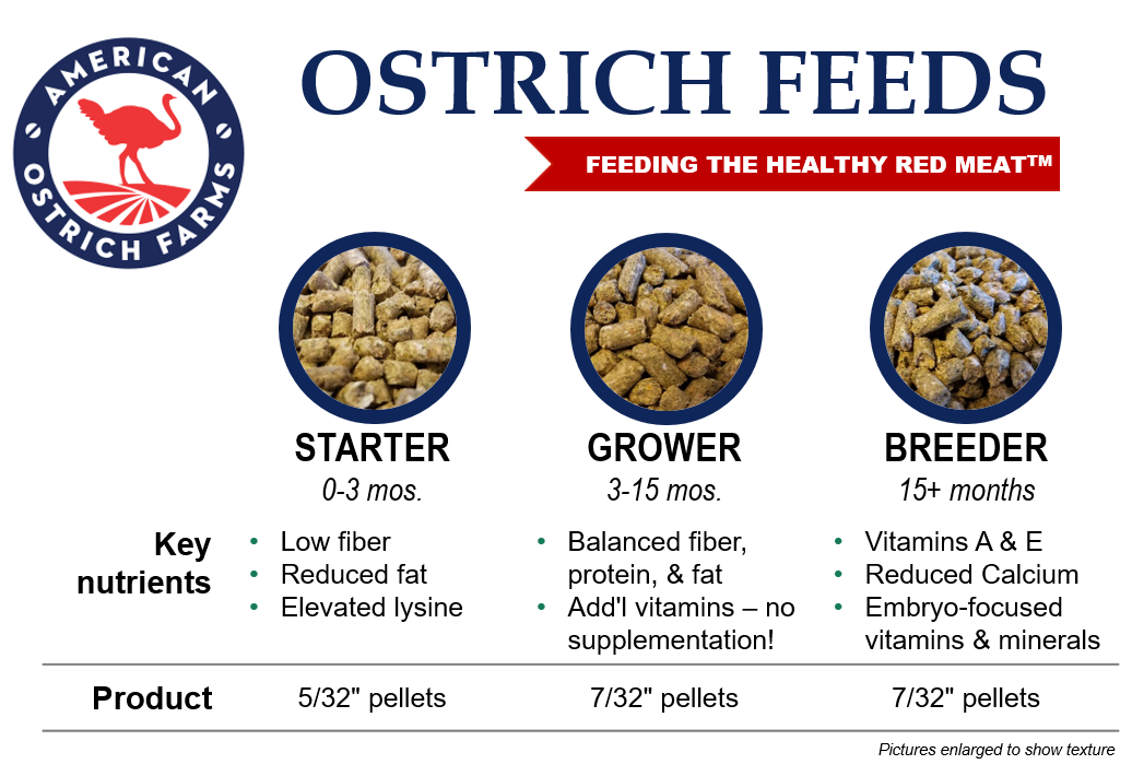 comparison of AOF ostrich feeds