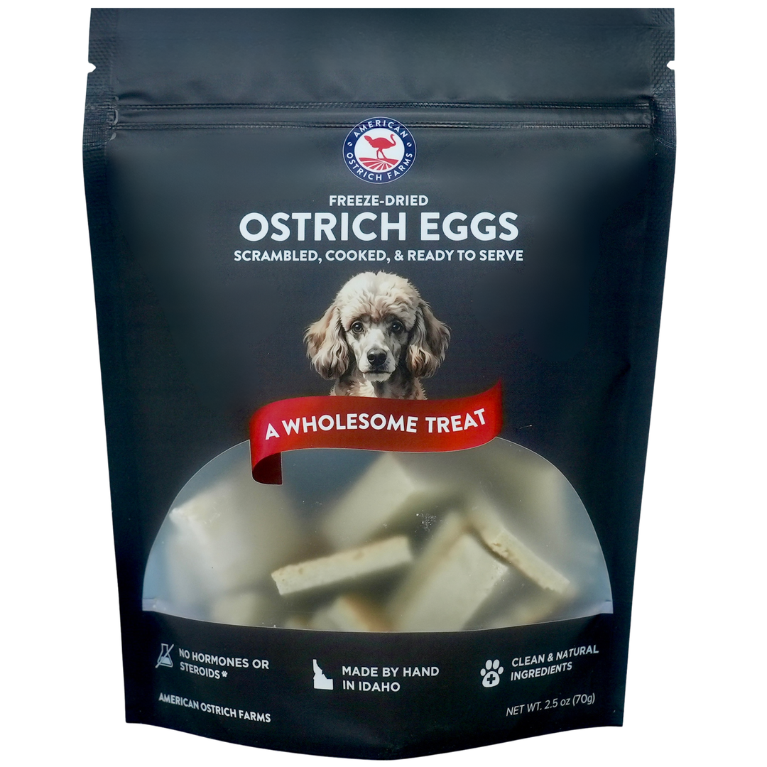 Ostrich Egg Bites