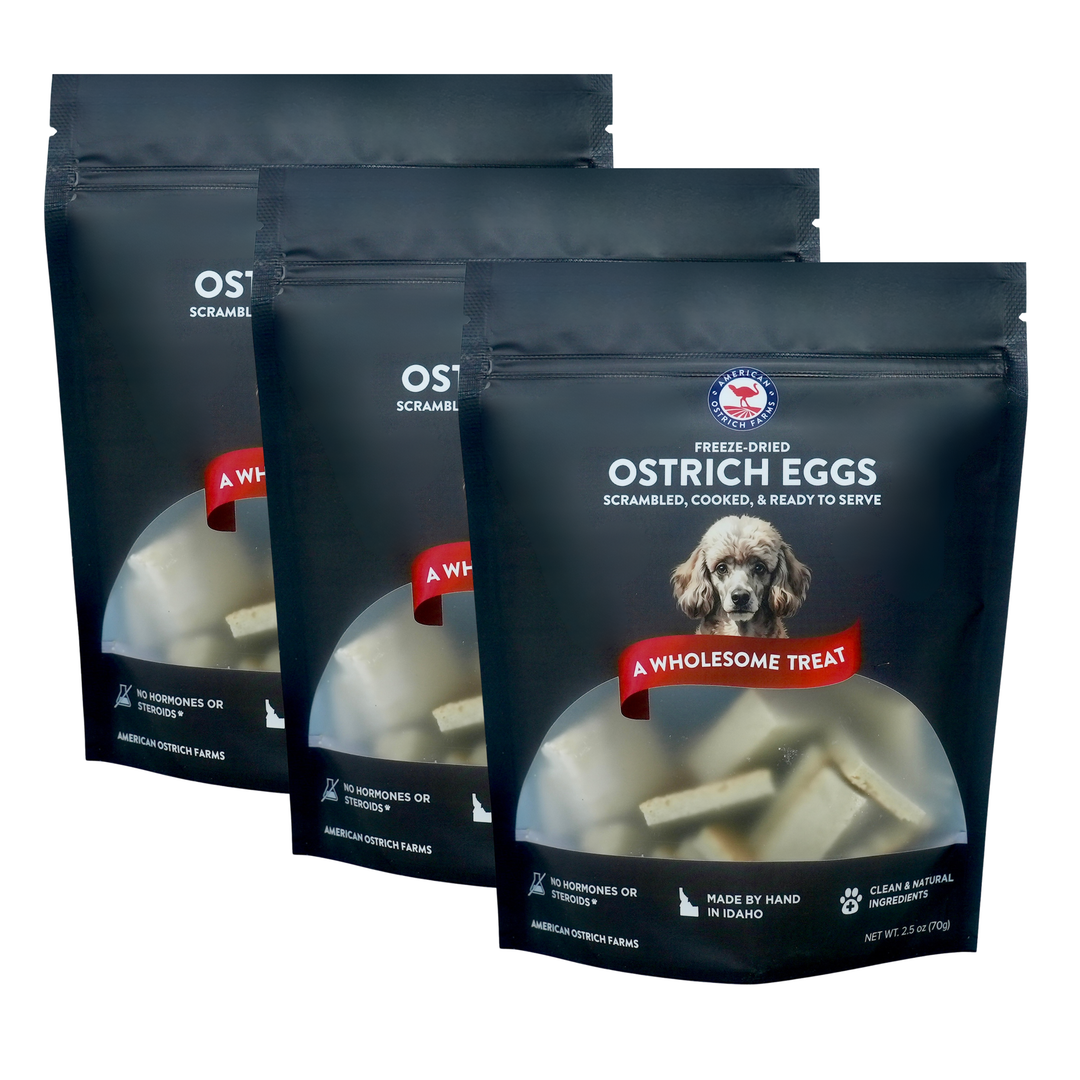 Ostrich Egg Bites