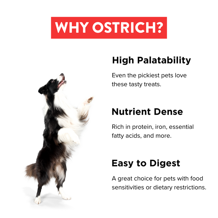 Why ostrich? High palatability, nutrient dense, easy to digest