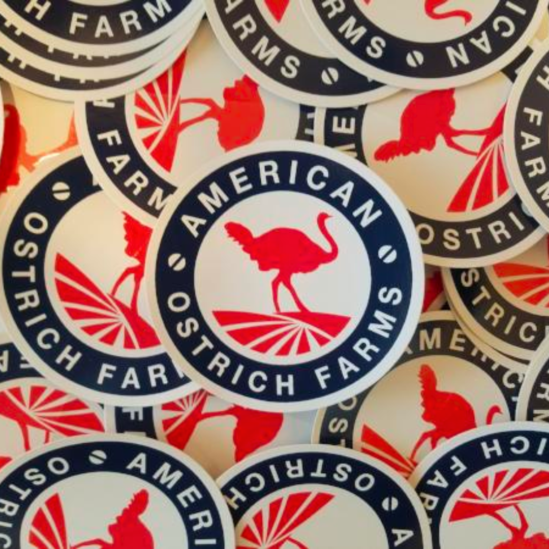 american ostrich farms bumper sticker
