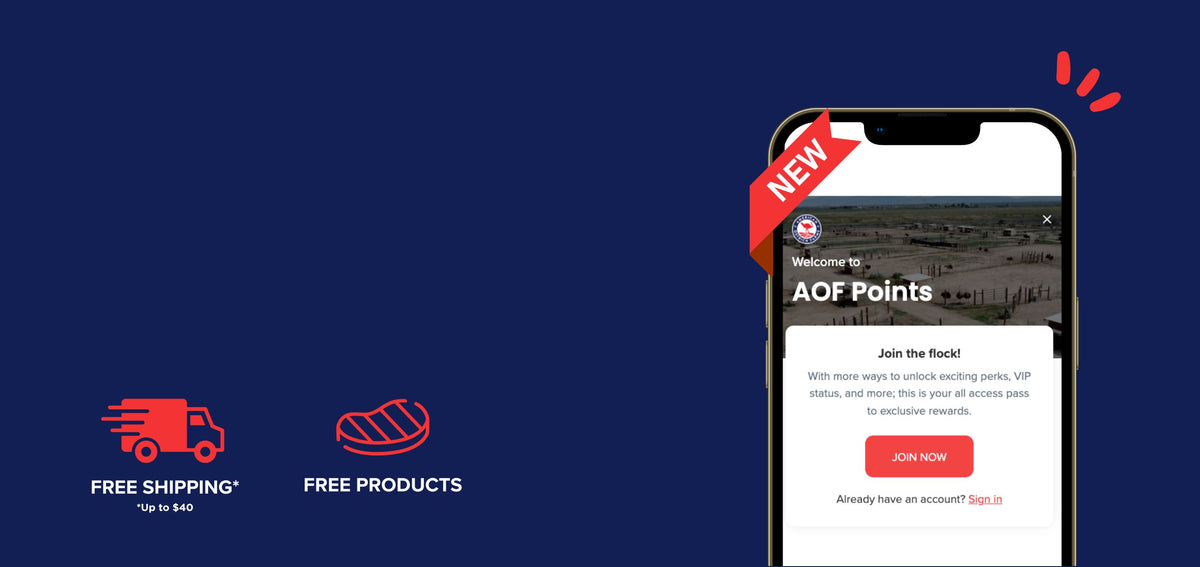 Our updated rewards program that’s designed just for you is live! A whole new look and better rewards, because you deserve it. 