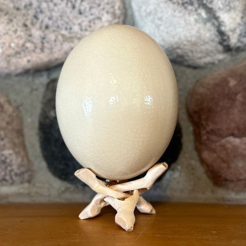 ostrich eggshell on stand displayed on a mantle