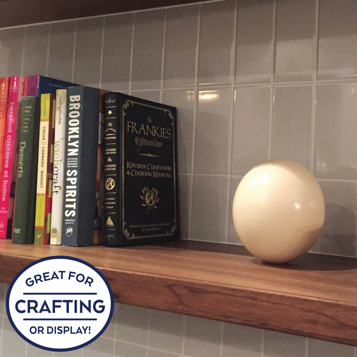ostrich eggshell on bookshelf