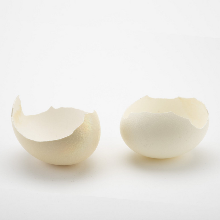 two ostrich eggshell halves