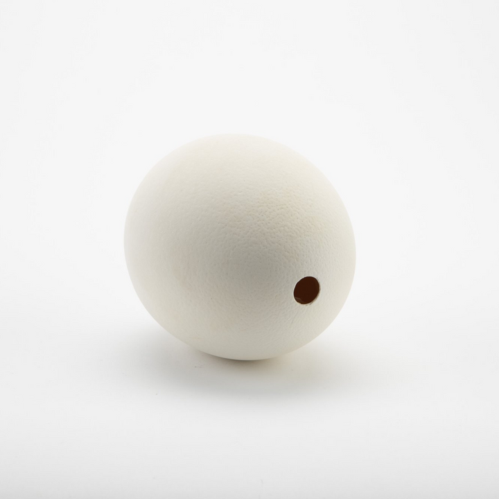 ostrich eggshell on side