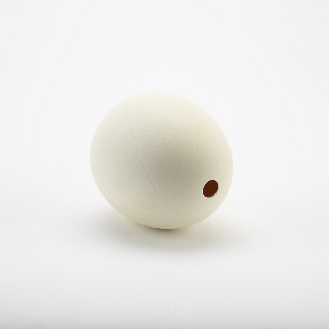 ostrich eggshell on side