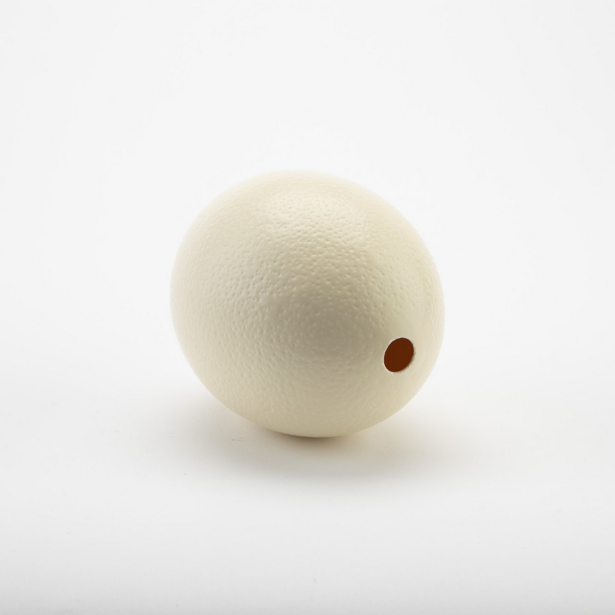 Ostrich Eggshells [Natural Sheen] from $23.95 USD