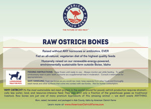 facts about ostrich bones