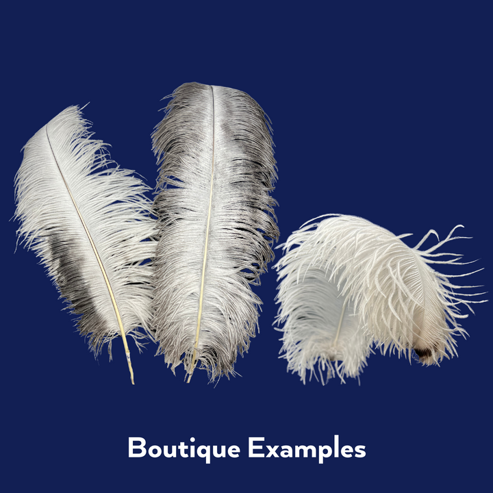 boutique ostrich feathers