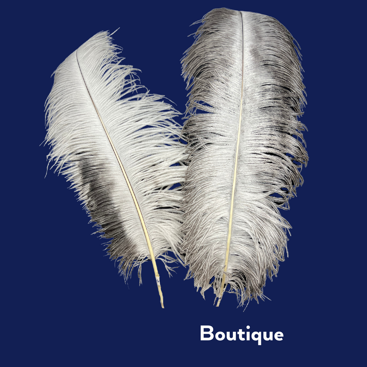 boutique ostrich feathers