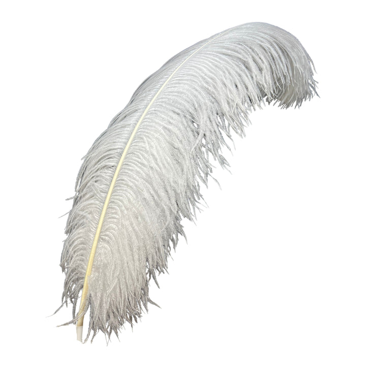 white ostrich feather