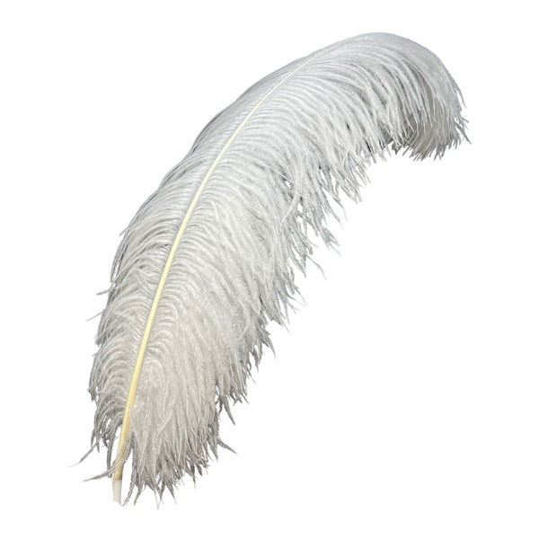 Genuine Ostrich Feathers