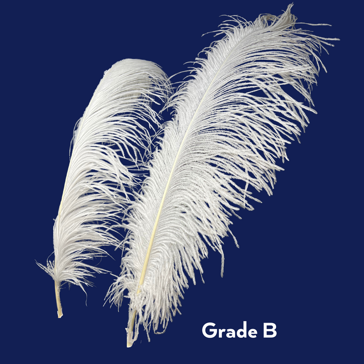 grade B ostrich feathers