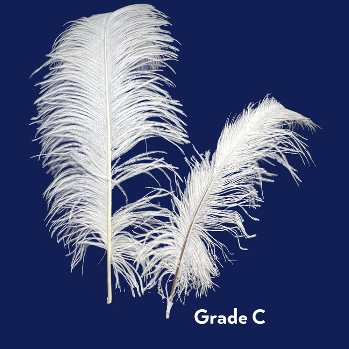 grade C ostrich feathers