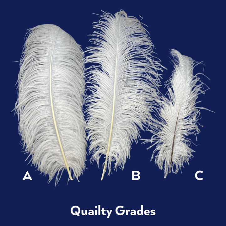 quality grades of ostrich feathers