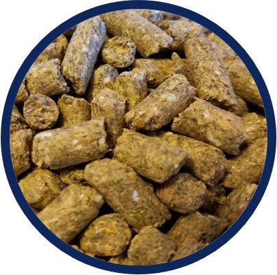 Nutritional benefits of Grower ostrich feed