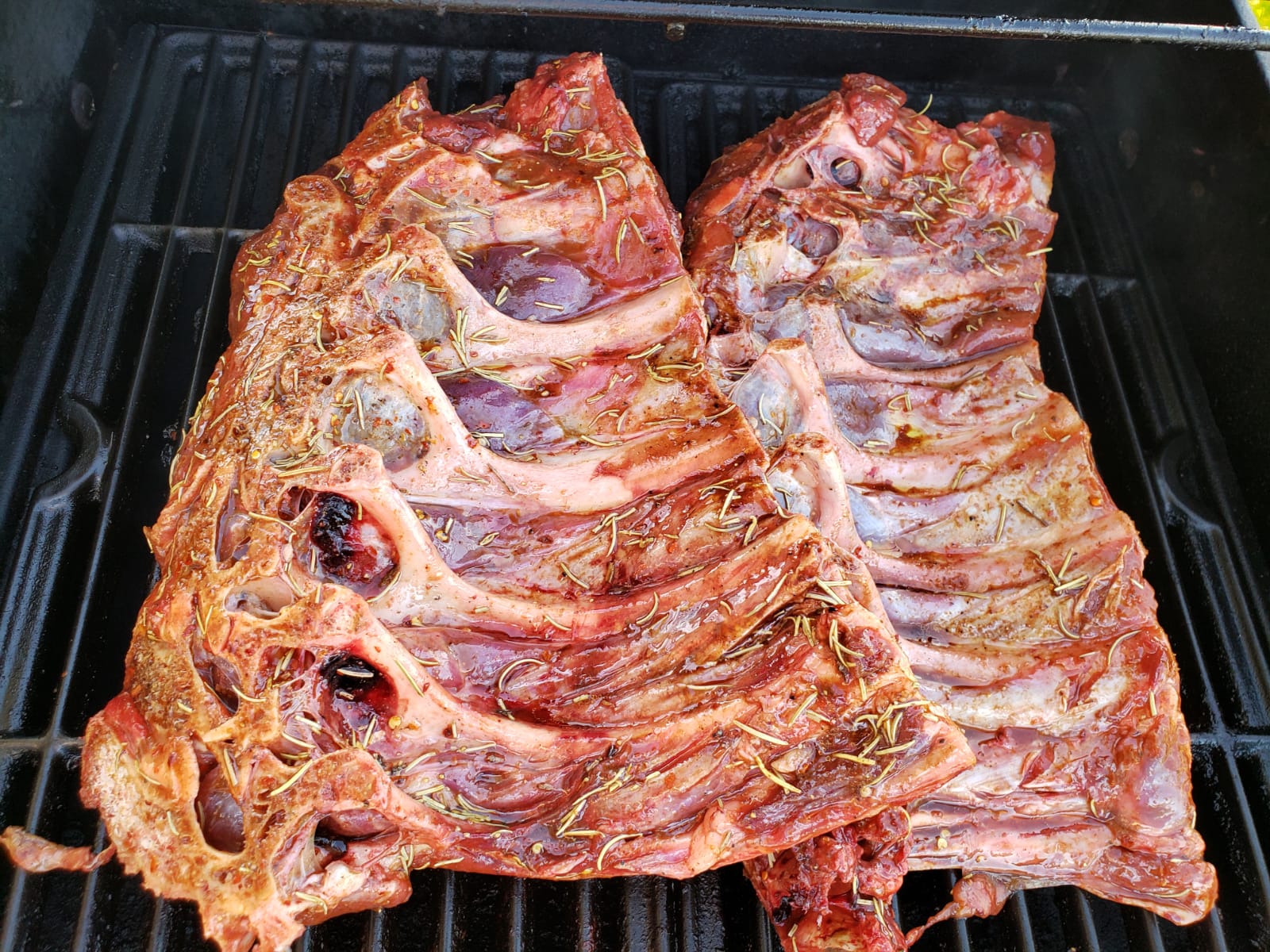 Ostrich Rack of Ribs
