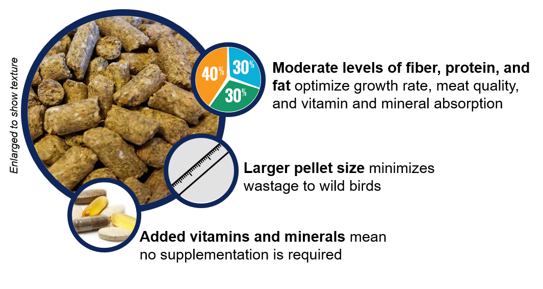 Nutritional benefits of Grower ostrich feed