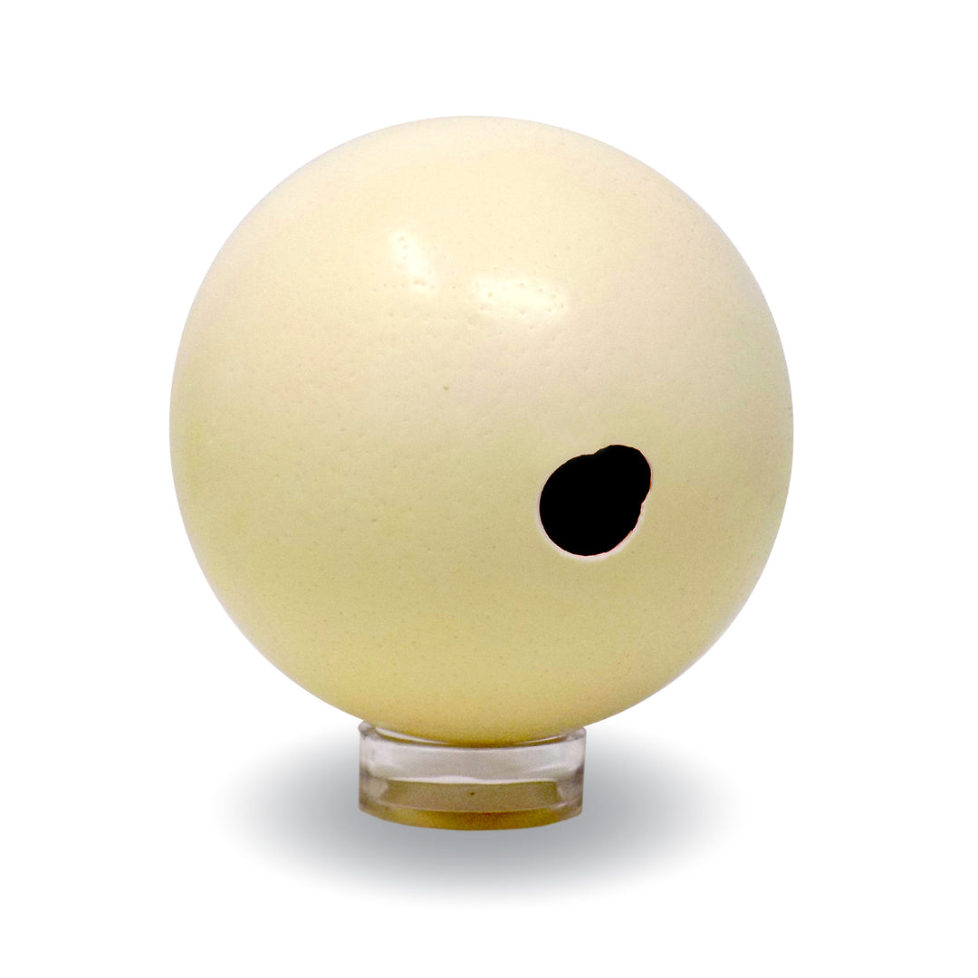 imperfect ostrich eggshell on acrylic stand showing a chipped drill hole opening