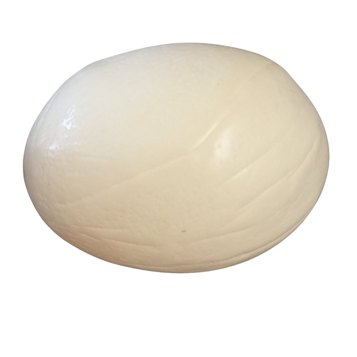 oviduct scarred ostrich eggshell on side