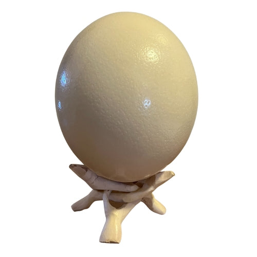 ostrich eggshell on wooden tripod stand